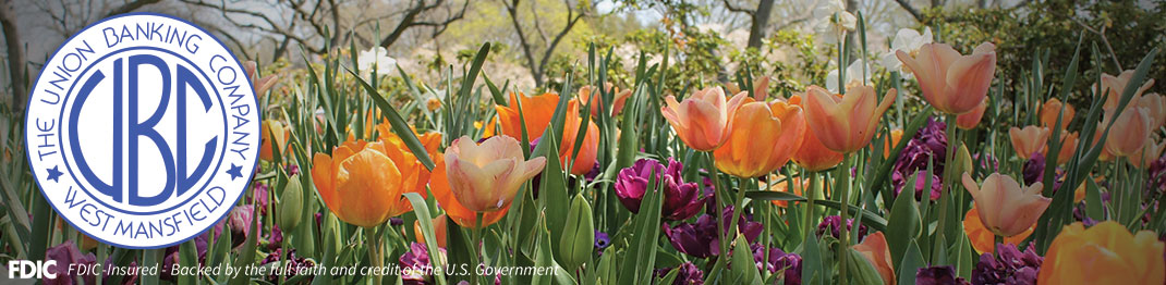 The Union Banking Company